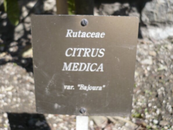20100407_141259_P1020612