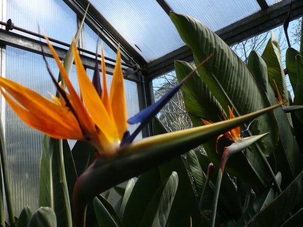 20100407_141505_P1020613
