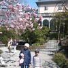 20100407_141609_P1020615
