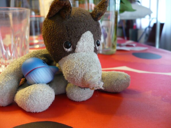 20100411_134633_P1020635