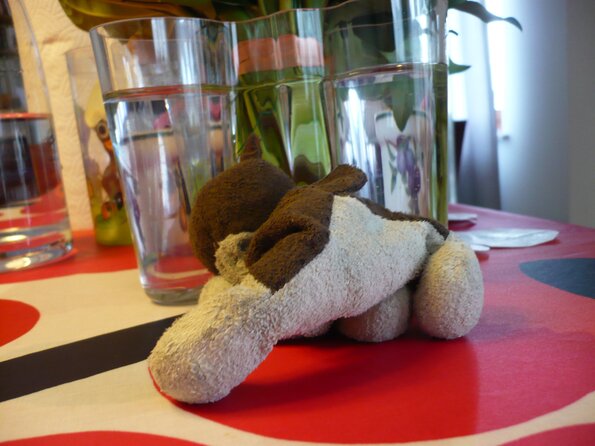 20100411_135054_P1020639