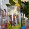 20100413_124654_P1020646