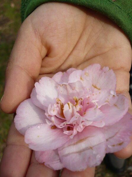 20100418_170046_P1020663