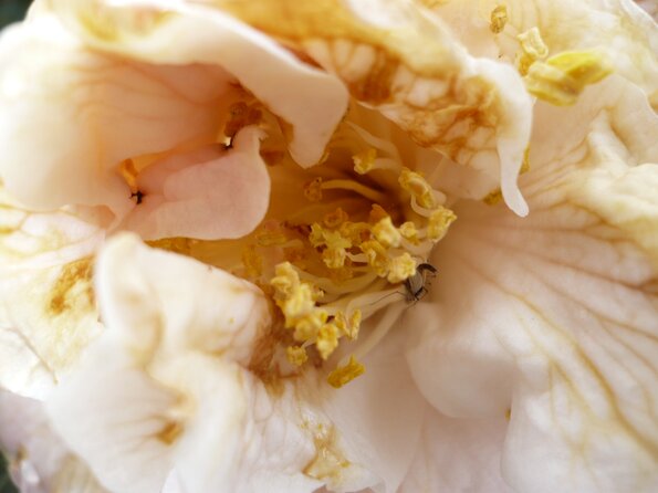 20100418_170702_P1020672
