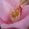 20100418_170952_P1020674