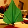 20100501_202800_P1020709
