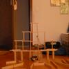 20100519_203752_P1020738