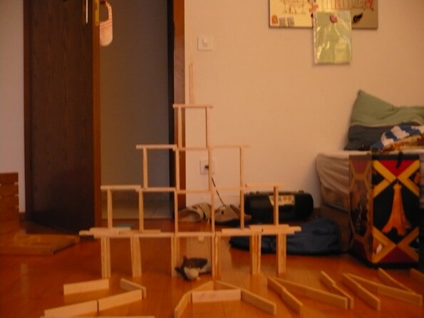 20100519_203752_P1020738