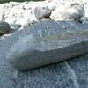 20100603_160038_P1020787