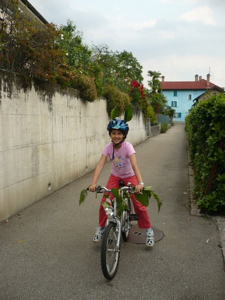 20100609_183135_P1020795