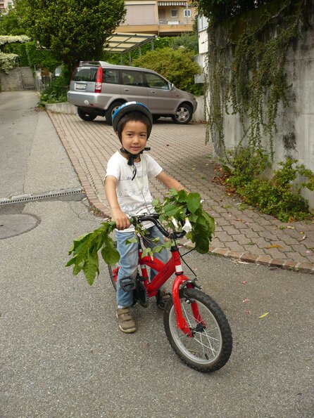 20100609_183148_P1020796