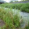 20100626_163140_P1020838