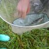 20100626_163206_P1020839