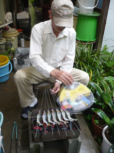20100626_171405_P1020844