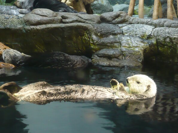 20100715_120316_P1020866