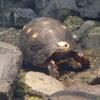 20100715_121026_P1020868
