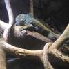 20100715_121350_P1020872