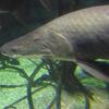 20100715_121754_P1020873