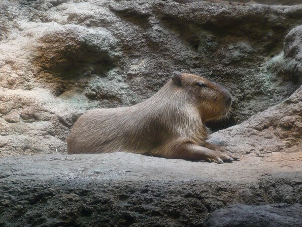 20100715_122104_P1020875