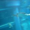 20100715_124019_P1020878