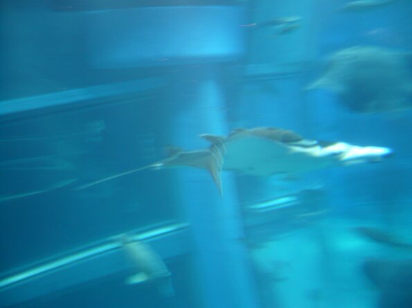 20100715_124019_P1020878