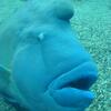 20100715_125455_P1020879
