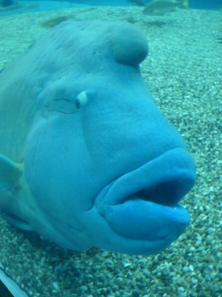 20100715_125455_P1020879