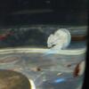 20100715_125634_P1020880