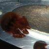 20100715_125641_P1020881