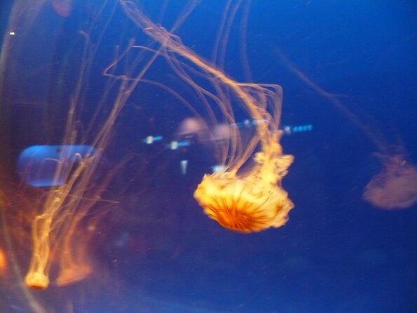 20100715_125827_P1020882