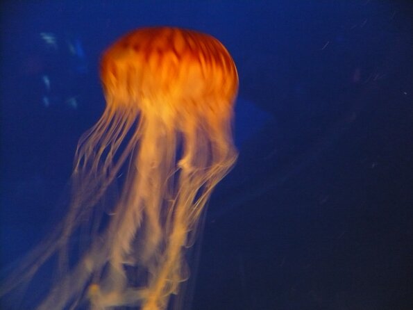 20100715_125844_P1020884