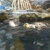 20100715_135805_P1020891