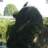 20100720_160253_P1020950