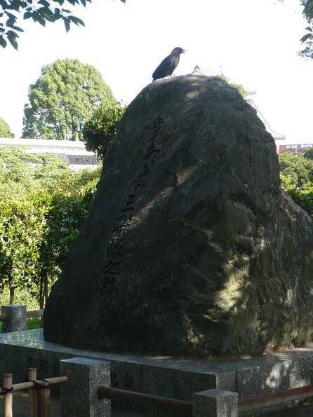 20100720_160253_P1020950
