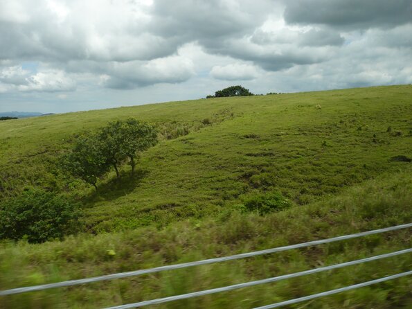 20100721_111733_P1020977