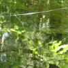 20100721_134807_P1020997