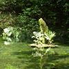 20100721_135034_P1020998