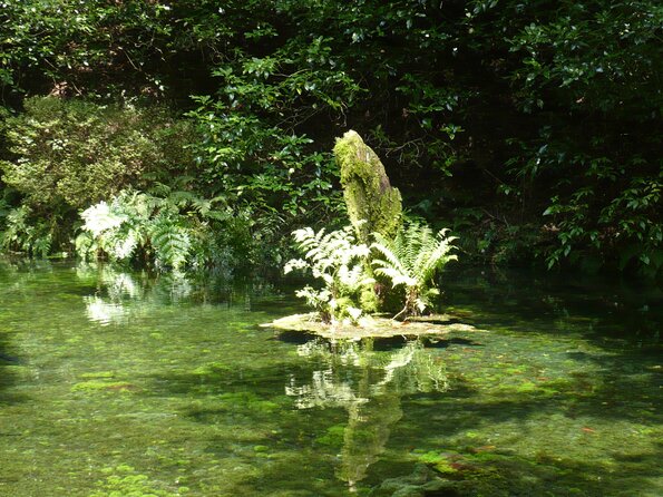 20100721_135034_P1020998