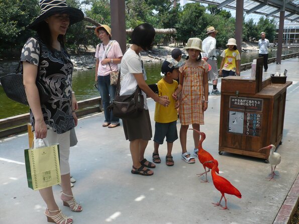 20100723_113951_P1030033