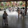 20100723_122102_P1030038