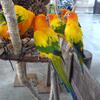 20100723_143407_P1030054