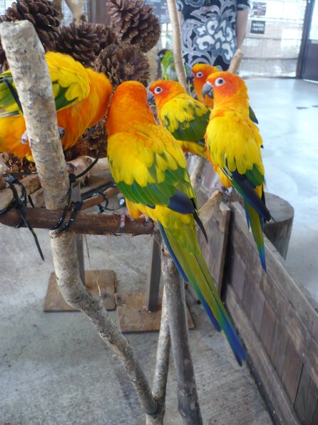 20100723_143407_P1030054