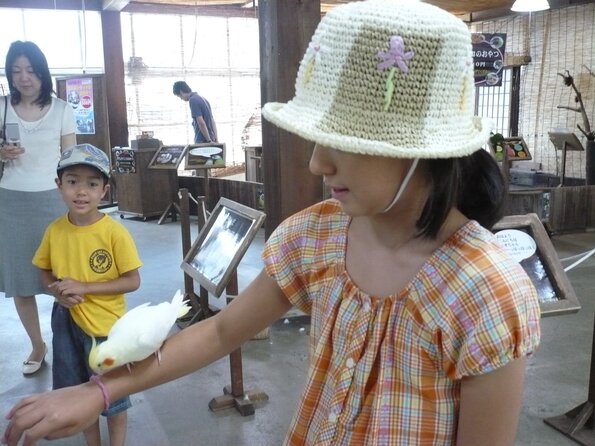 20100723_143744_P1030056