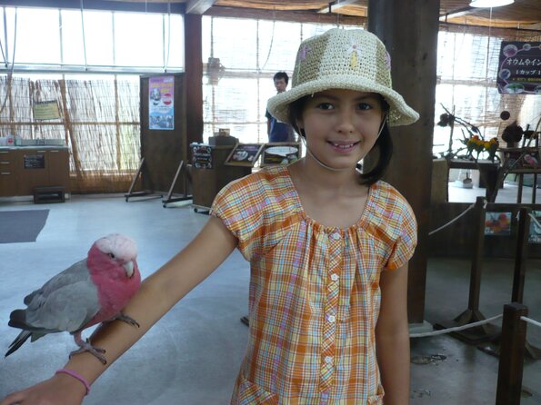 20100723_143844_P1030059