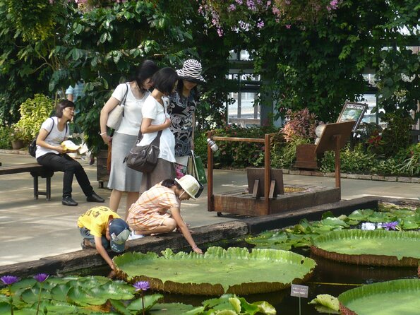 20100723_144843_P1030061