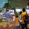 20100725_142805_IMG_1505