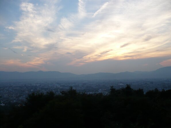 20100726_185152_P1030118