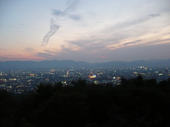 20100726_193142_P1030119