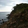 20100814_192334_P1030235