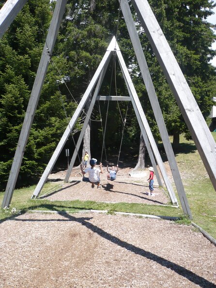 20100819_131937_P1030268